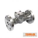 단조 체크 F304 후렌지식(영진)(12965)