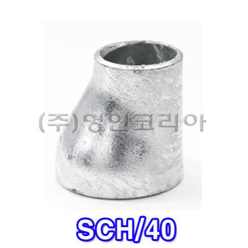 백용접레듀샤KS SCH/40(편심)(10988) - 명인코리아