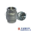 우성.판체크스텐PAS22(나사)(10198)