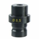 [신성] 다이(아랫날) (51975)